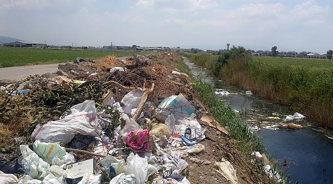 Zirai Karantina Çiftçiyi Mağdur Etti