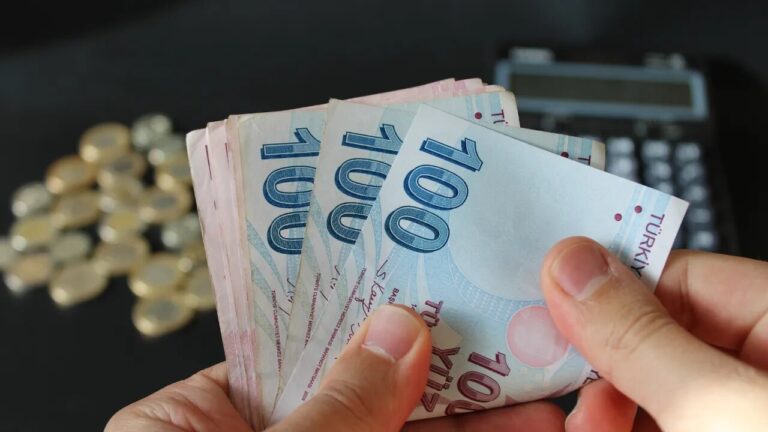 2024 Yılı Bütçe Kanunu Resmi Olarak Açıklandı
