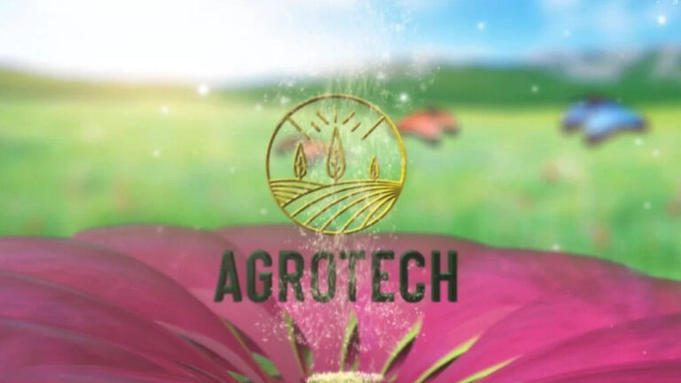 Agrotech Borsa İstanbul’da Hisselerini Geri Almayı Planlıyor