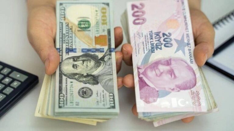 TL Değer Kaybına Devam Ederken Dolar ve Euro Rekor Kırıyor