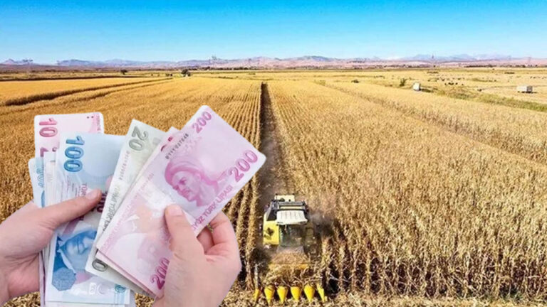 Çiftçilere Destek Devam Ediyor! 3 Milyar 870 Milyon Hesaplara Yatıyor