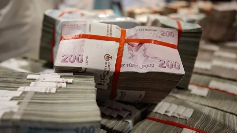 Dev Adım Atıldı! Her Yaşa ve Her Kadına Özel 200.000 TL’ye Kadar Kredi İmkanı