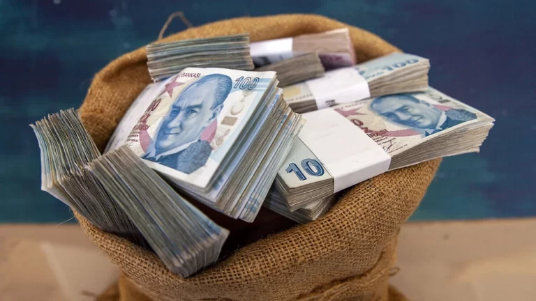 Elinde Türk Lirası Olanlar Yaşadı! 1 Milyon TL’nin Getirisi Rekor Seviyeye Uçtu