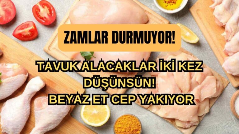 Zamlar Durmuyor! Tavuk Alacaklar İki Kez Düşünsün! Beyaz Et Cep Yakıyor