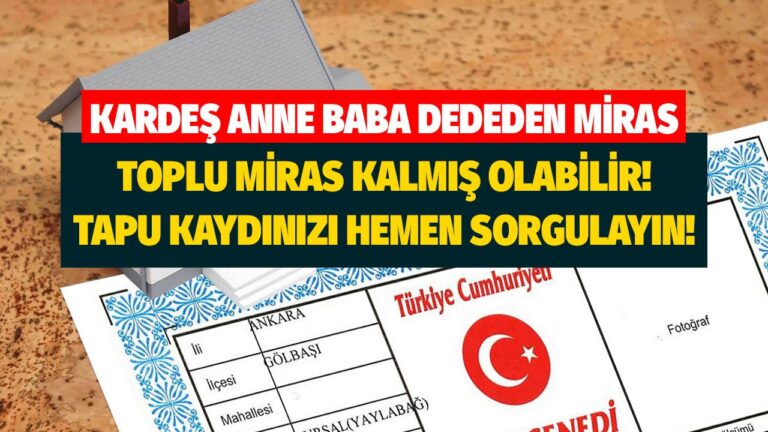 Adınıza miras kalmış olabilir! Dededen anne babadan kardeşten soy ağacı TAPU sorgulama ekranı