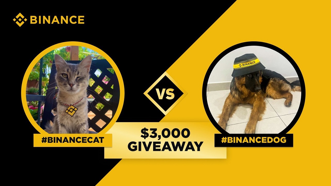 Binance’dan Binancecat Kampanyası