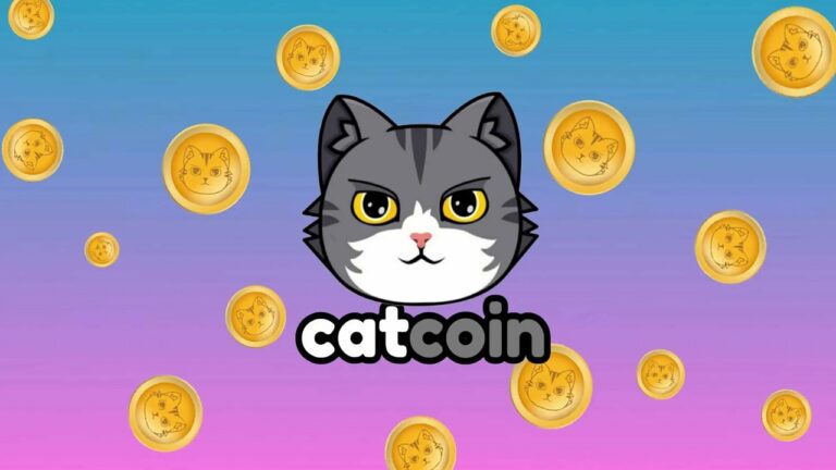 Kripto Piyasasında Kedi Coin İstilası Başlayabilir