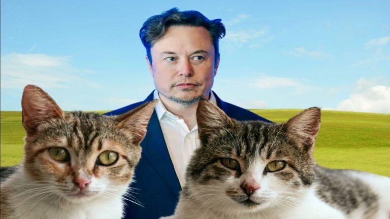 Elon Musk Beğendi Kedi Temalı Koin Uçtu