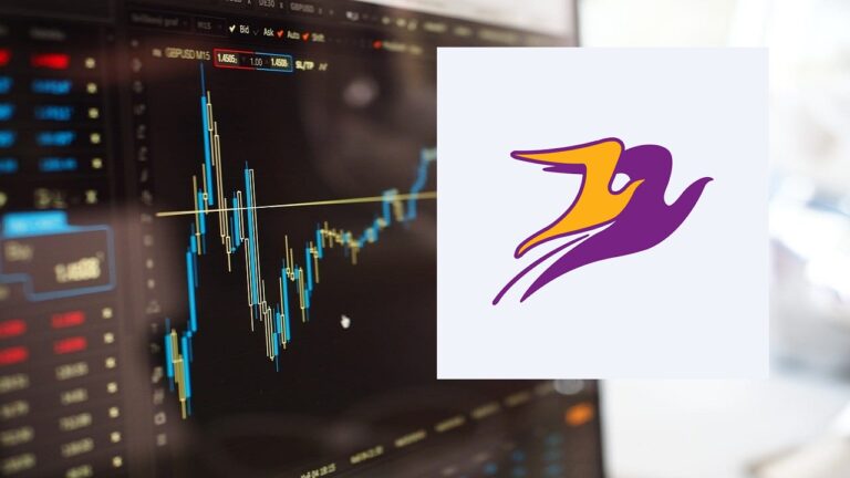FLAP Neden Düşüyor, Bilançosu Nasıl 2024?