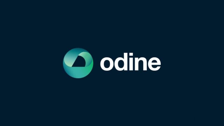 SPK Odine Solutions Halka Arzına Onay Verdi