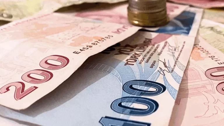 İşsizlik Döneminde Vatandaşlara Can Simidi! 7.940 TL Destek Hazine’den