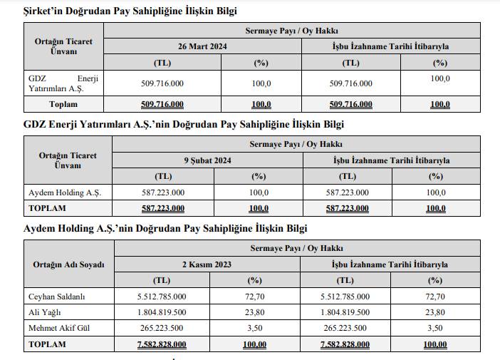 GDZ Elektrik Kimin, Ortaklık Yapısı Nasıl?