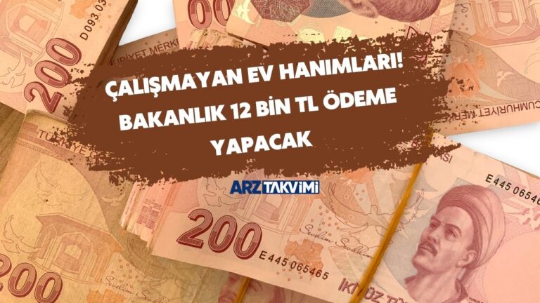 Çalışmayan ev hanımları! Bakanlık 12 bin TL ödeme yapacak