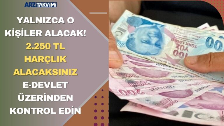Yalnızca o kişiler alacak! 2.250 TL harçlık alacaksınız hemen E-Devlet üzerinden kontrol edin