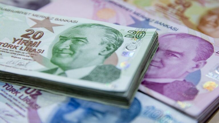 SELEC ve ULUFA 2024 Temettü Ödemeleri Yarın