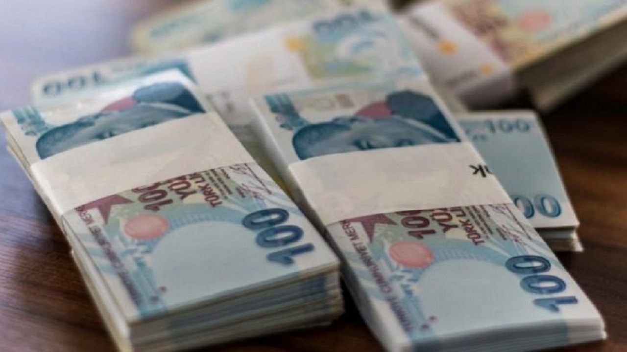 SELEC ve ULUFA 2024 Temettü Ödemeleri Yarın
