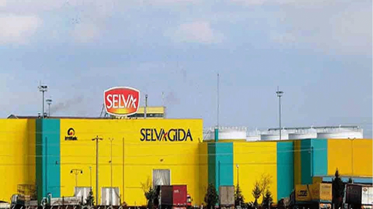 SELVA Neden Düşüyor, Ne Zaman Yükselecek 2024?
