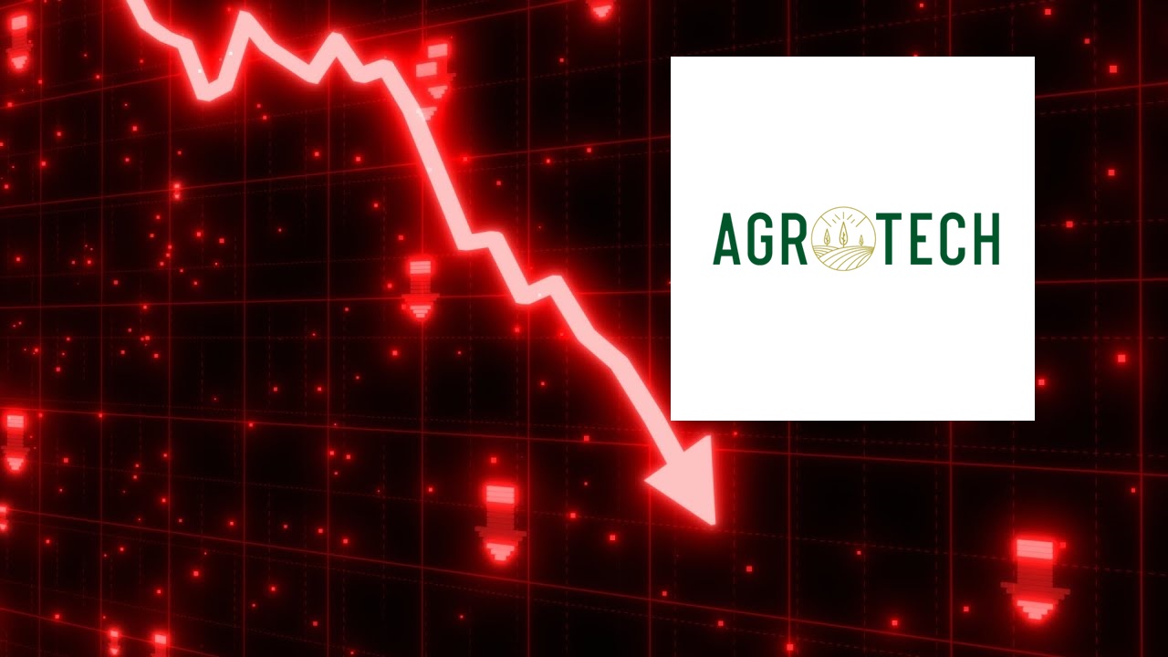 AGROT Hisse Neden Düşüyor 2024? AGROT 2 Gündür Taban!