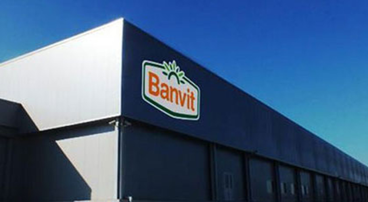 Banvit'ten Gelen İyi Bilanço BANVT Hisseye Tavan Yaptırdı