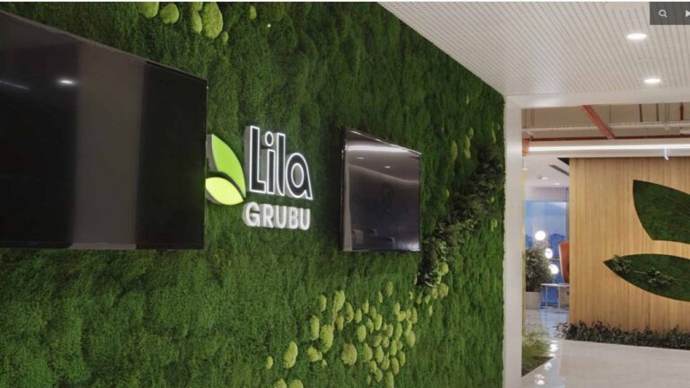 Lilak Hisse Neden Düşüyor? Lila Kağıt Hissesi Arz Fiyatının Altına İner mi?