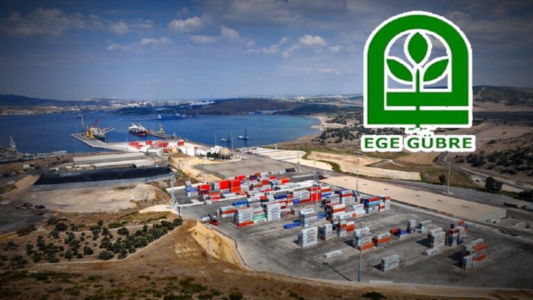 Ege Gübre (EGGUB Hisse) 2024 İlk Çeyrek Bilanço Nasıl Geldi?