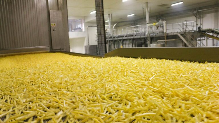 Atakey Patates (ATAKP) 2024 İlk Çeyrek Bilançosu Nasıl Geldi?