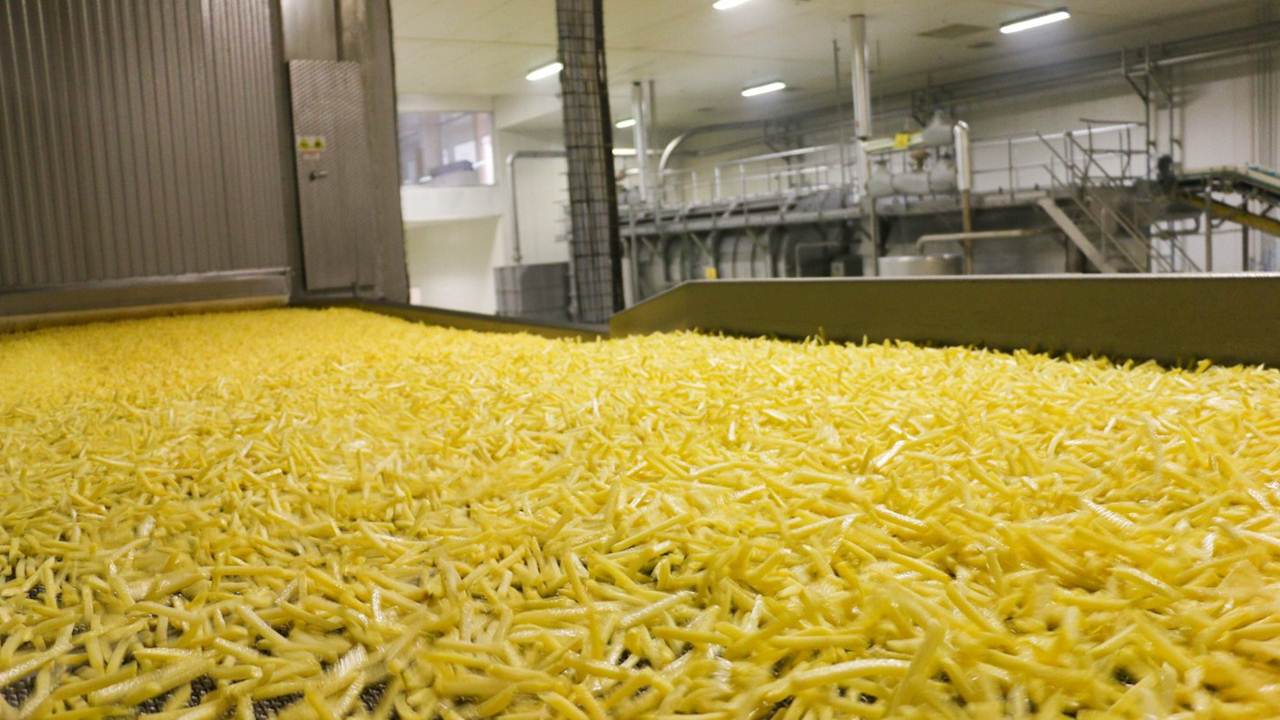 Atakey Patates (ATAKP) 2024 İlk Çeyrek Bilançosu Nasıl Geldi?