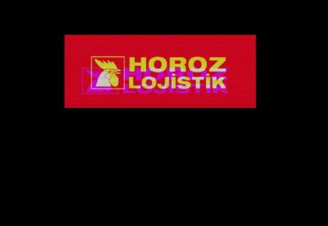 Horoz Lojistik Arz Sonuçları KAP Bildirimi Geldi: HOROZ Hisse Kaç Lot Verdi?