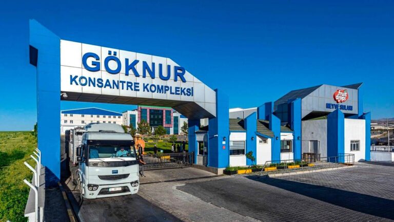 Göknur Gıda Hissesi GOKNR Hedef Fiyat 2025 Tahmini Açıklandı