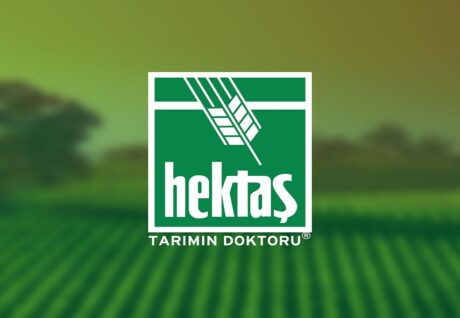 Hektaş (HEKTS) Hedef Fiyat 2025 Tahminleri