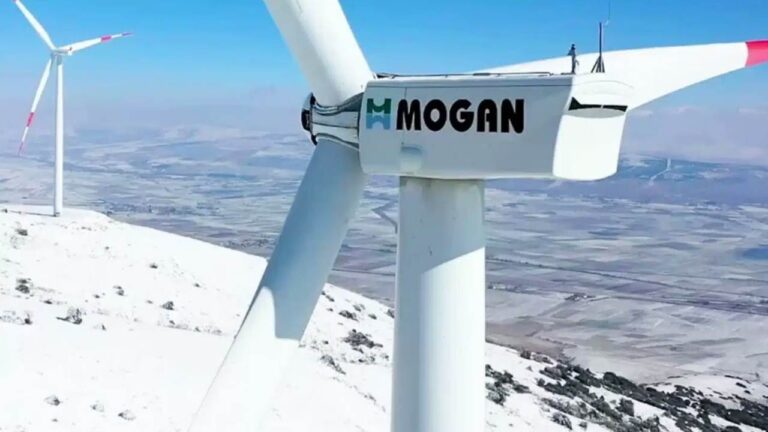 MOGAN Ne İş Yapar ve Sahibi Kim?